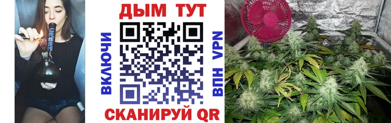 Названия наркотиков Каменногорск A-PVP Меф ГАШ Галлюциногенные грибы COCAIN Конопля