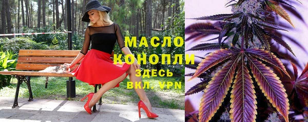 гидра Дмитров