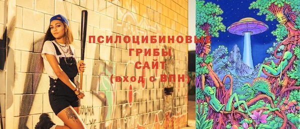 MDMA Дмитриев