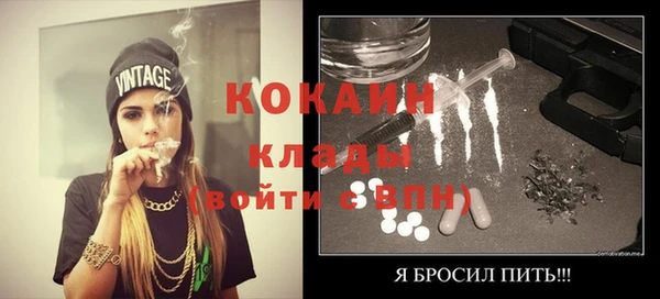 гидра Дмитров