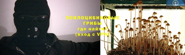 mdpv Дмитровск
