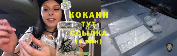 гидра Дмитров