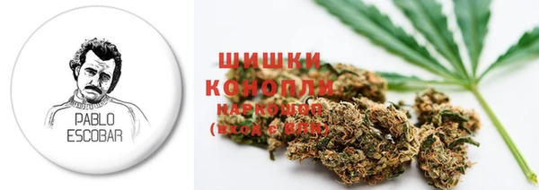 гидра Дмитров
