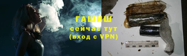 гидра Дмитров