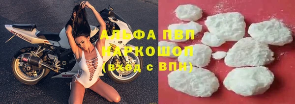 гидра Дмитров