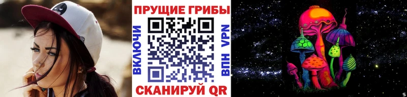Галлюциногенные грибы MAGIC MUSHROOMS  Каменногорск 