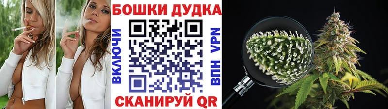 МЕГА маркетплейс Каменногорск Канабис индика